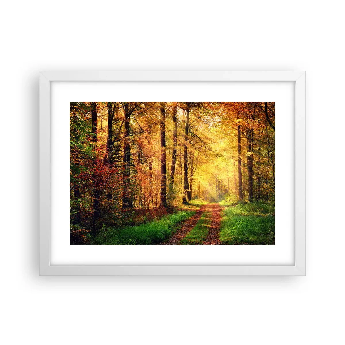 Poszter fekete keretben - Erdei, arany csend - 40x30 cm