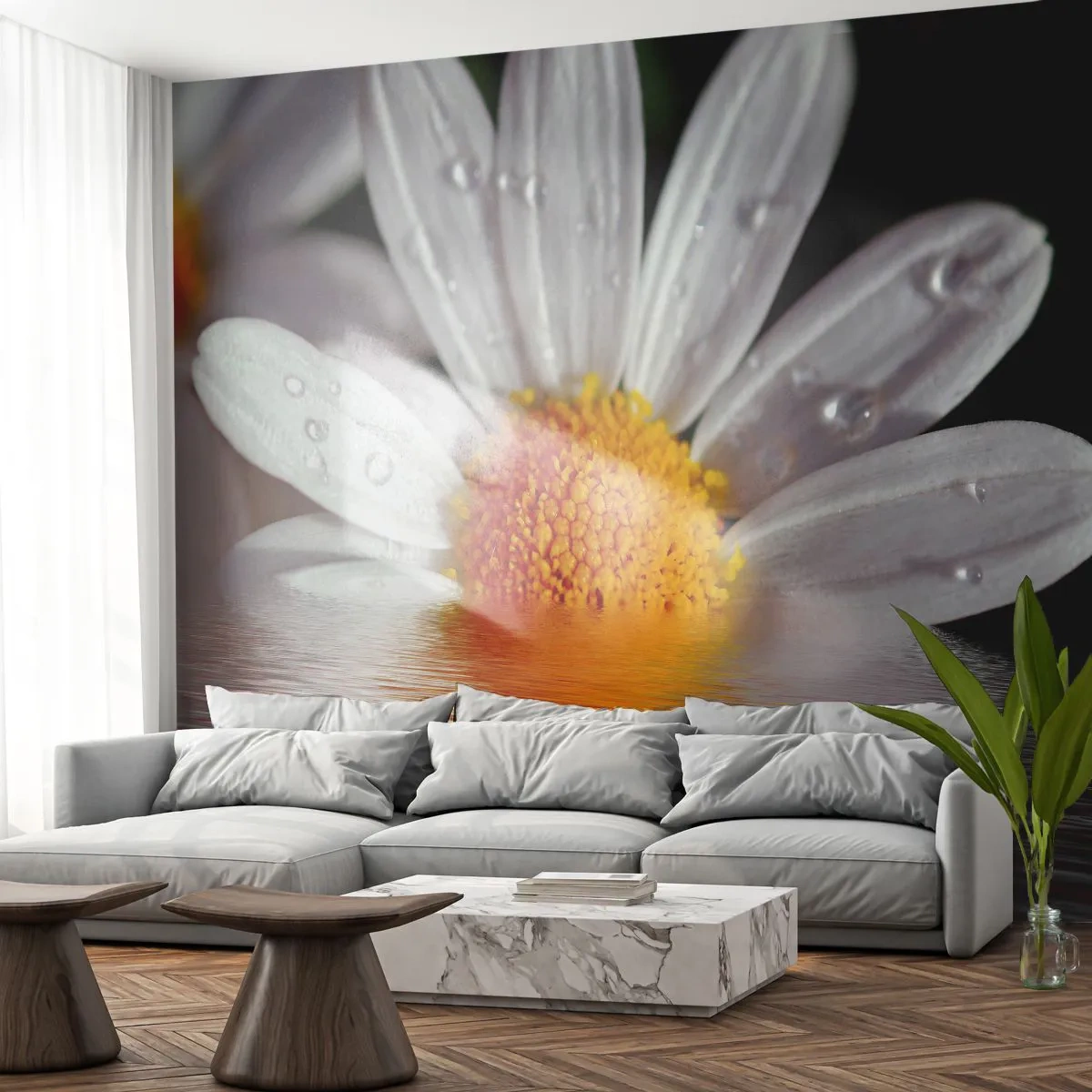 Fotótapéta Premium Canvas - A százszorszép felkelő napja - Virág, Kamilla, Természet - 100x70 cm
