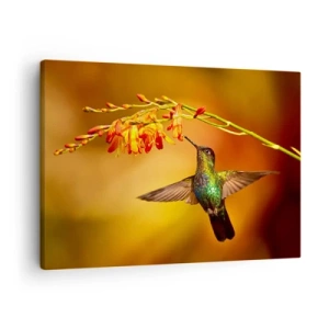 Vászonkép - Kolibri egy virág mellett a meleg fényben - 70x50cm - A fény hírnöke a maják szerint - Modern fali dekoráció nappalihoz és hálószobához ARTTOR