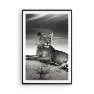 Poszter fehér keretben - A sivatagi királynő pihenése - 61x91 cm