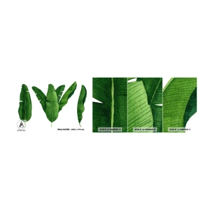 Fotótapéta Minta Standard Eco - Zöld szimmetria - Banánlevél, Tropikus, Botanikai stílus - 100x30 cm