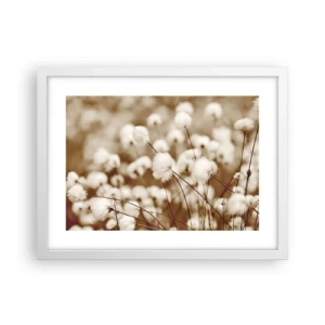 Poszter fekete keretben - Bolyhos termés - 40x30 cm