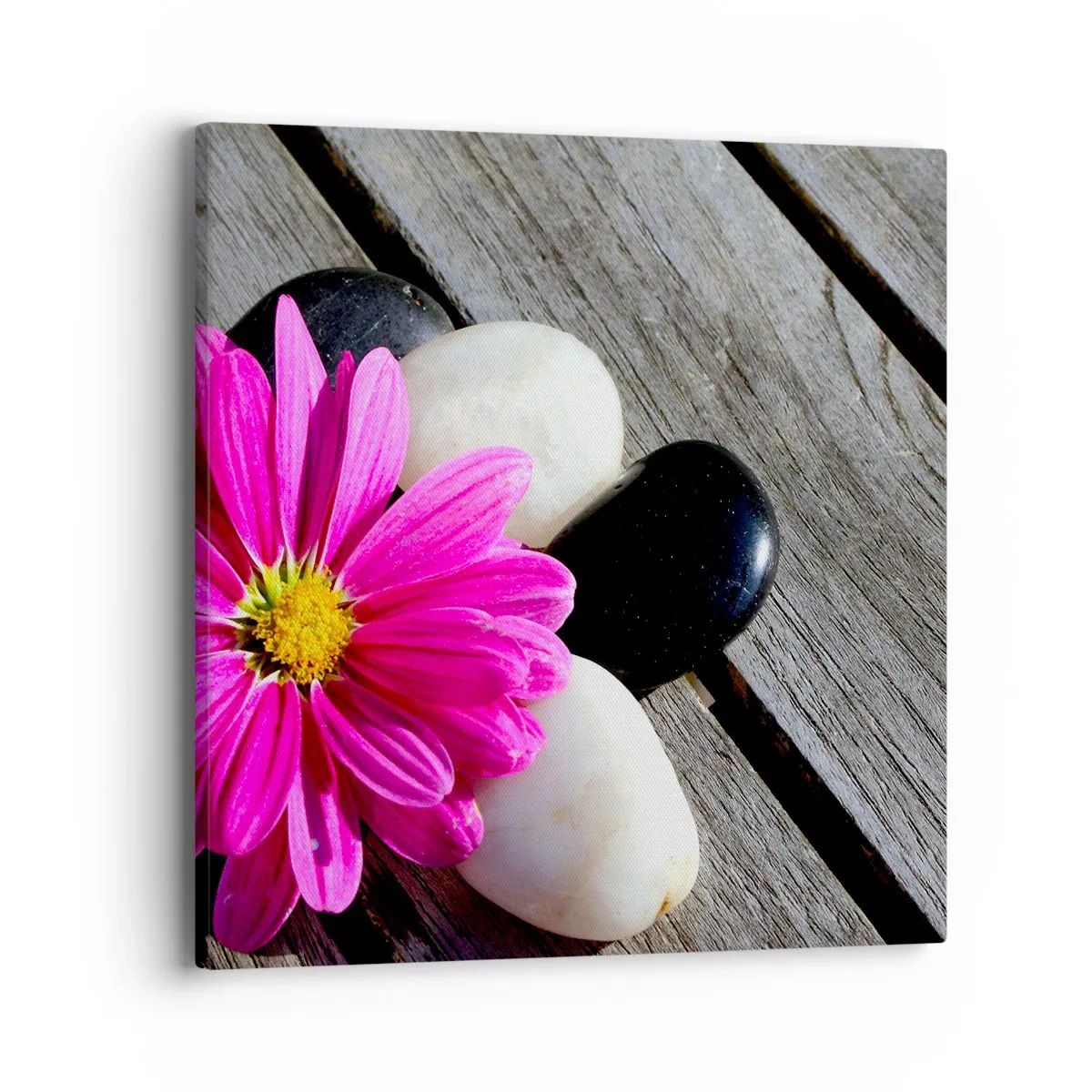 Vászonkép - Pihenés a mólón - 40x40 cm