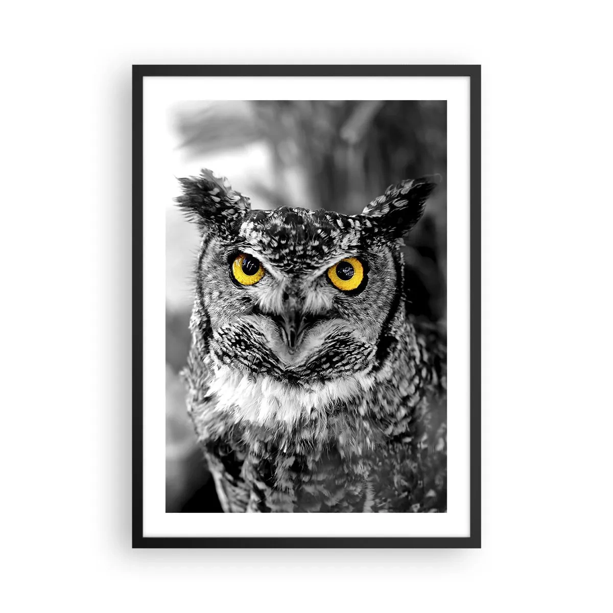 Poszter fehér keretben - Egy bagoly sárga szemekkel fekete-fehér alapon - 50x70cm - Semmi sem fog elbújni - Modern fali dekoráció nappalihoz és hálószobához ARTTOR
