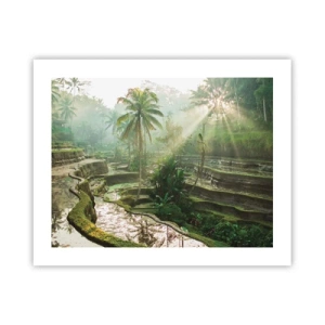 Poszter - Felnőni a napon - 50x40 cm