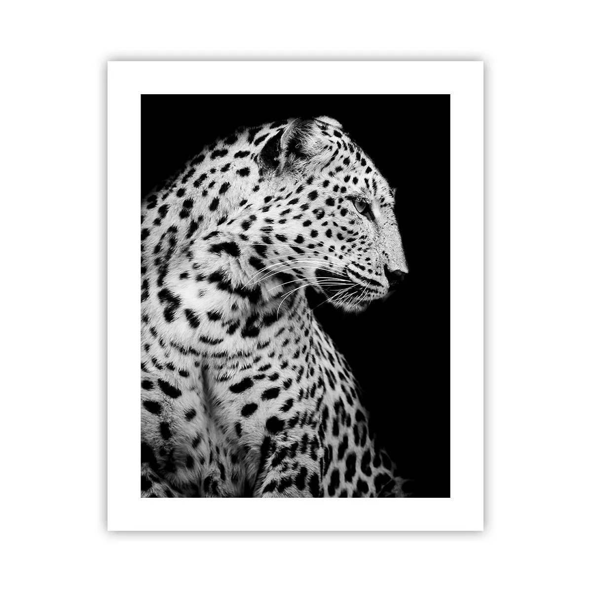 Poszter - Tökéletes jobb  profil! - 40x50 cm