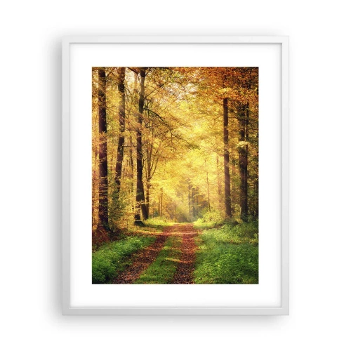 Poszter fekete keretben - Erdei, arany csend - 40x50 cm