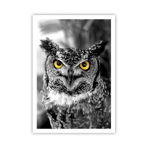 Poszter - Semmi sem fog elbújni - 70x100 cm