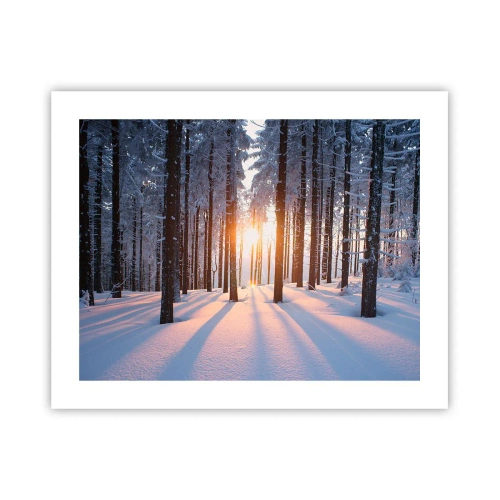 Poszter - Egyértelműen fekete-fehéren - 50x40 cm