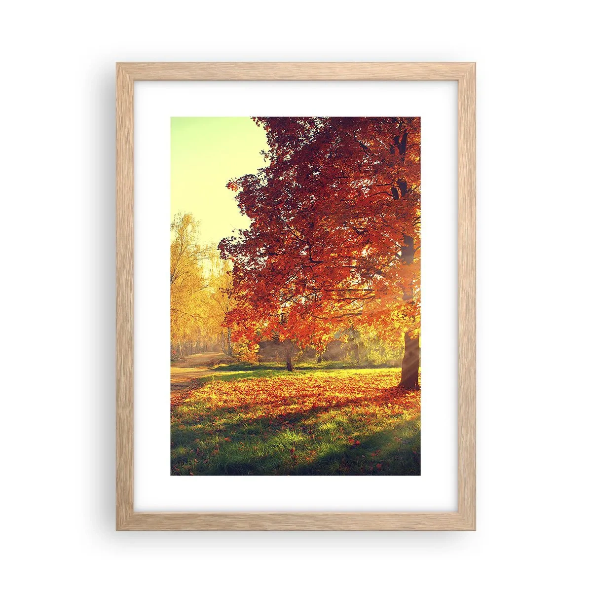 Poszter világos tölgy keretben - A vörös gyönyörű - 30x40 cm