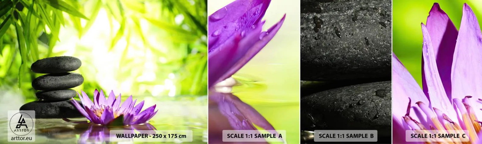 Fotótapéta Minta Standard Eco - Egy bambusz bokorban - Virág, lótusz virág, Bambusz - 100x30 cm