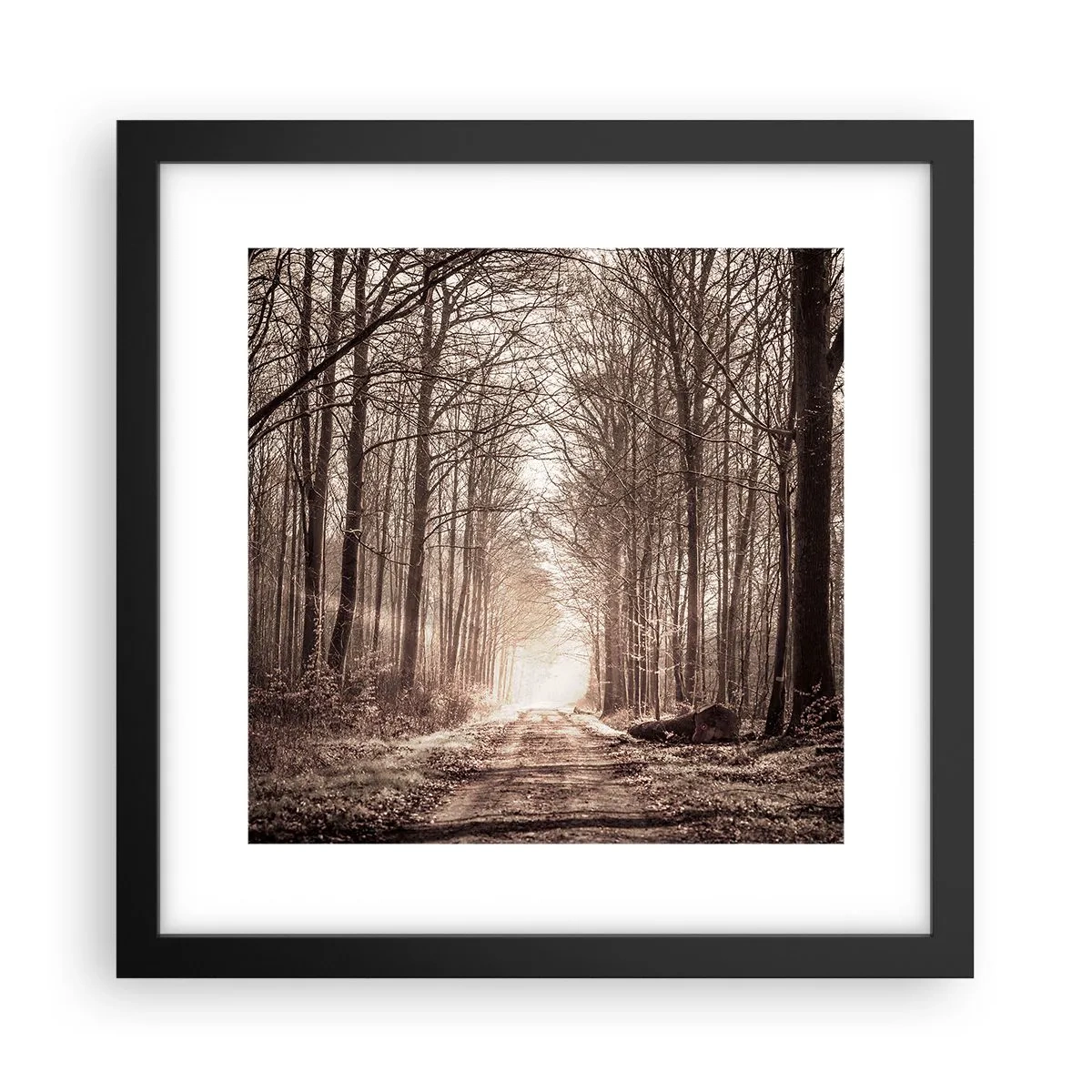 Poszter fehér keretben - Erdei katedrális - 30x30 cm