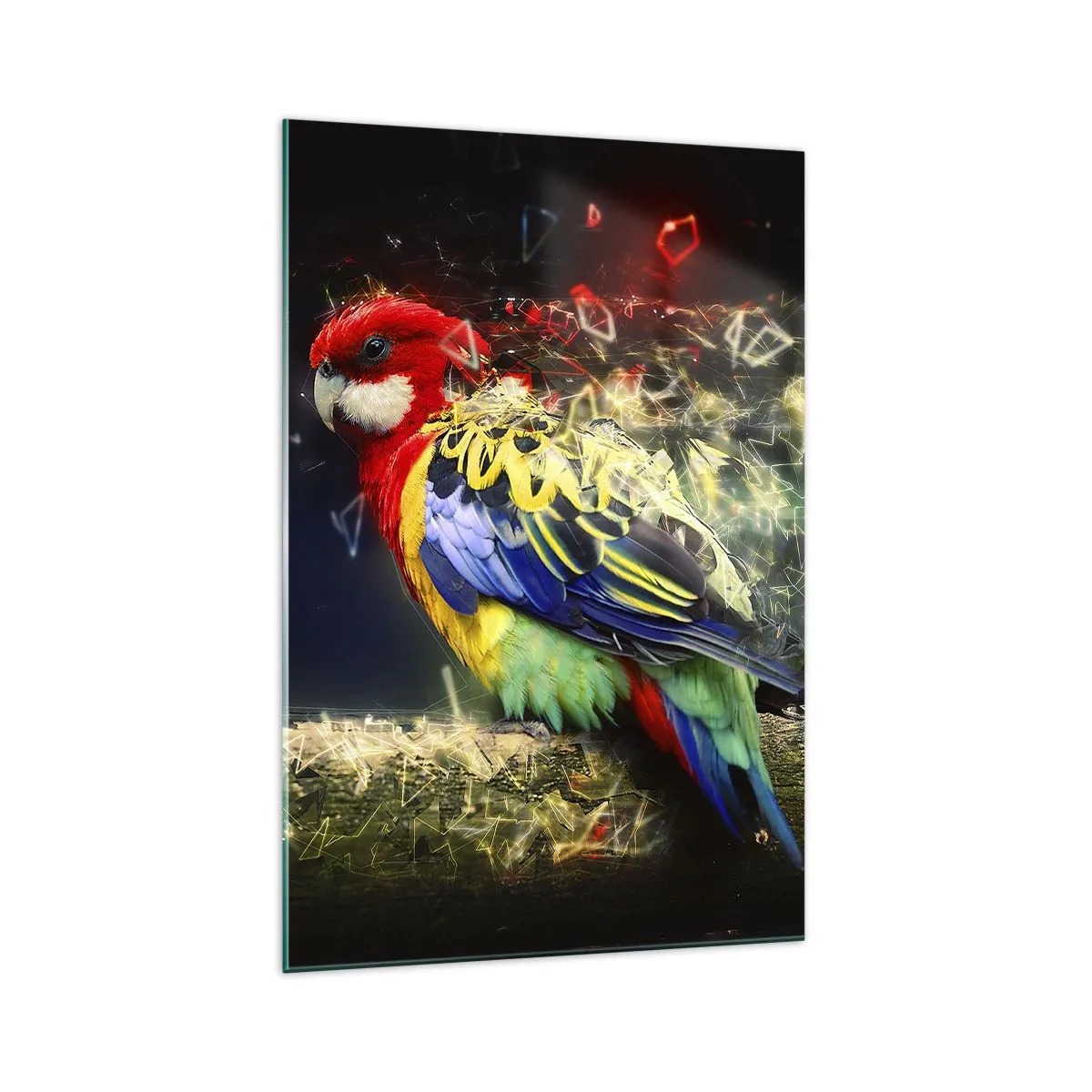 Üveg kép - A ragyogás hírnöke - 70x100 cm