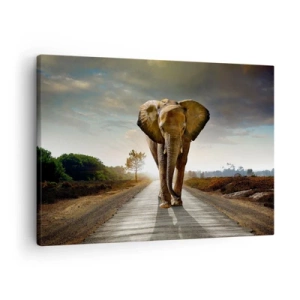 Vászonkép - Egy elefánt sétál egy úton a tájon keresztül naplementekor - 70x50cm - És egyáltalán nem porcelánraktárban - Modern fali dekoráció nappalihoz és hálószobához ARTTOR