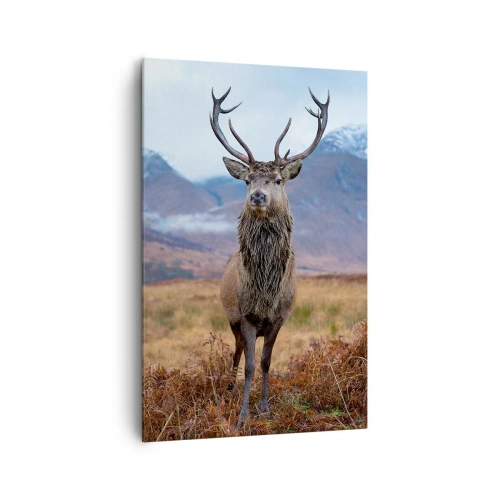 Vászonkép - Saját földön - 80x120 cm