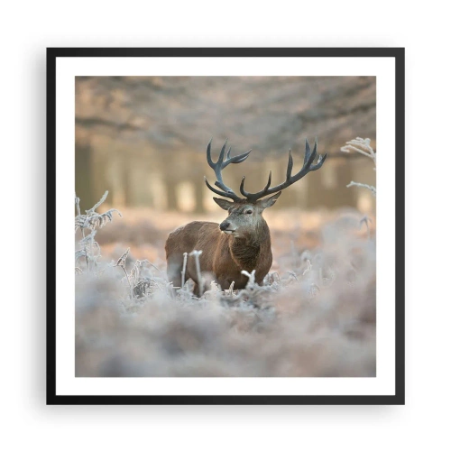 Poszter fehér keretben - Friss reggel - 60x60 cm