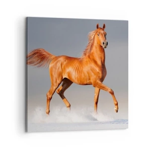 Vászonkép - Táncoló szépség - 60x60 cm