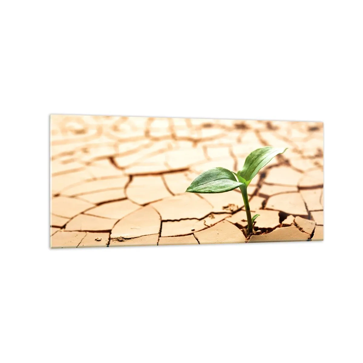 Üveg kép - Az élet fékezhetetlen ereje - 120x50 cm