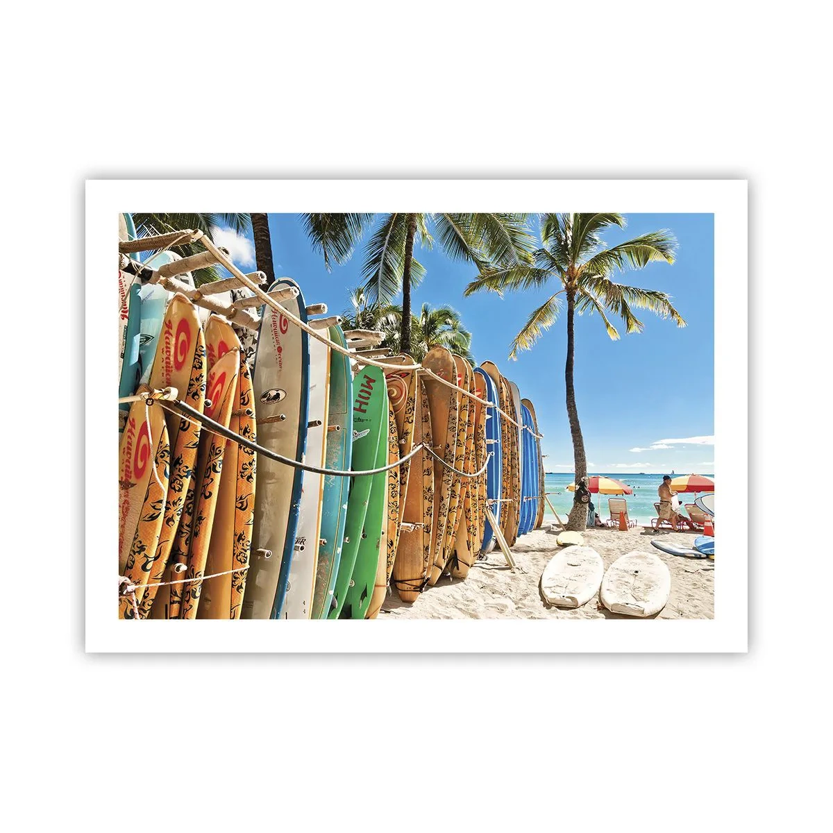 Poszter - Napos mulatság - 70x50 cm