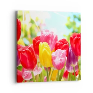 Vászonkép - Mi vagyunk, a május színei! - 40x40 cm