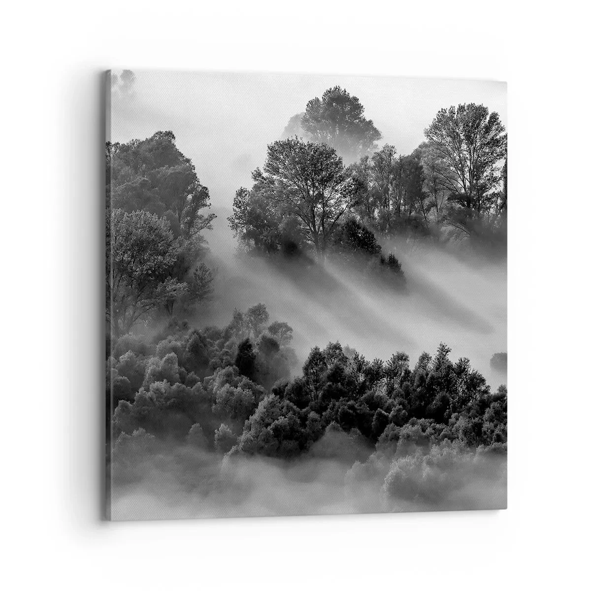 Vászonkép -  Az álomból felkelő - 70x70 cm