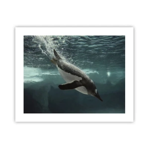 Poszter - Üdv a világomban - 50x40 cm