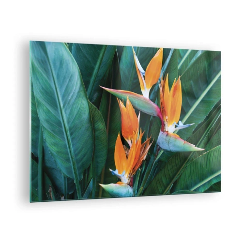 Üveg kép - Egzotikus strelitzia virágok nagy zöld levelek között - 70x50cm - Virág vagy madár? - Modern fali dekoráció nappalihoz és hálószobához ARTTOR