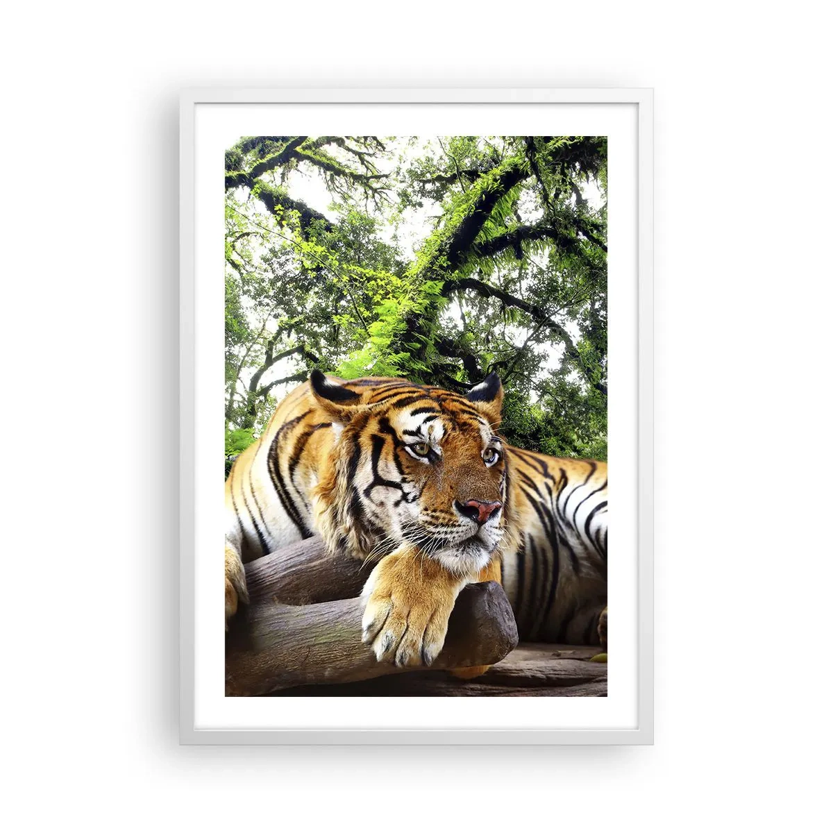 Poszter fekete keretben - Tisztelettel - 50x70 cm