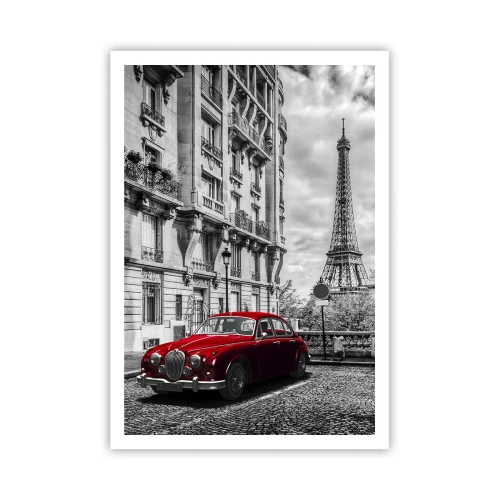 Poszter - Ragadozó a városban - 70x100 cm