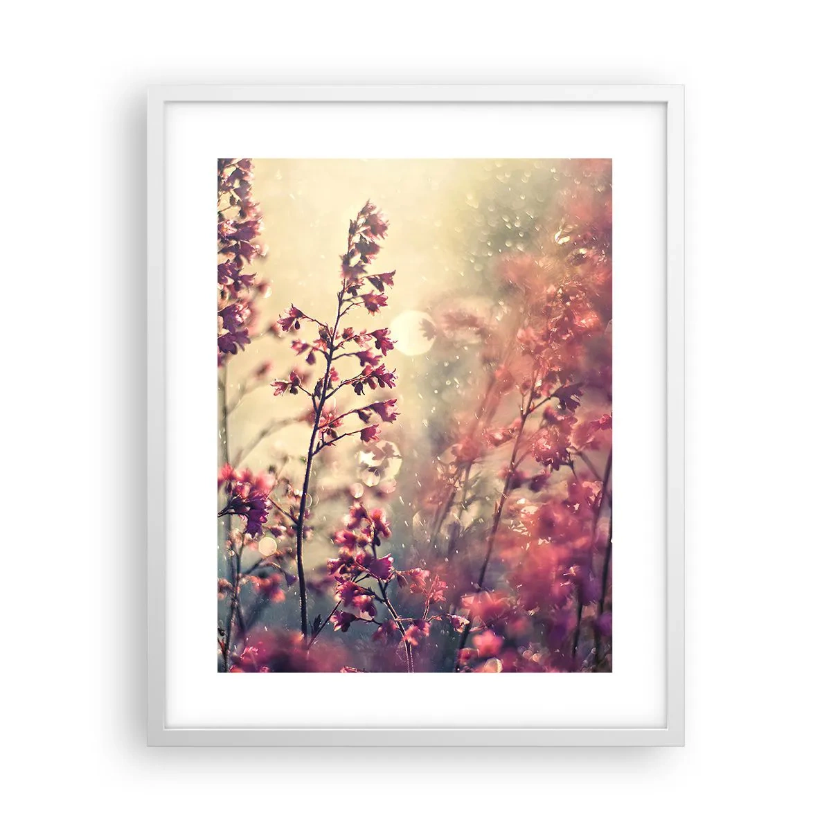 Poszter fekete keretben - Titkos kert - 40x50 cm