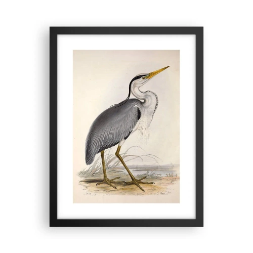 Poszter fehér keretben - Gémnek kecsessége - 30x40 cm