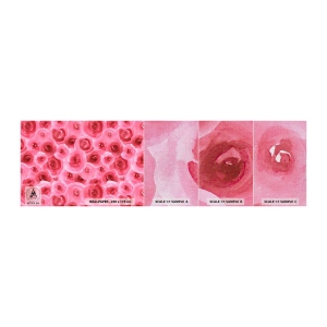 Fotótapéta Minta Premium Canvas - Rózsák alul és felül - Virágok, Szépség, Romantika - 100x30 cm