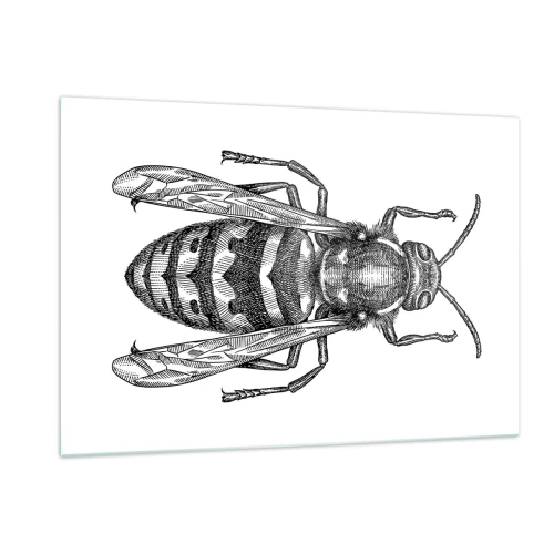 Üveg kép - Egy rovar bolygóról - 120x80 cm