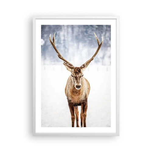 Poszter fekete keretben - Egyenesen a hóködből - 50x70 cm