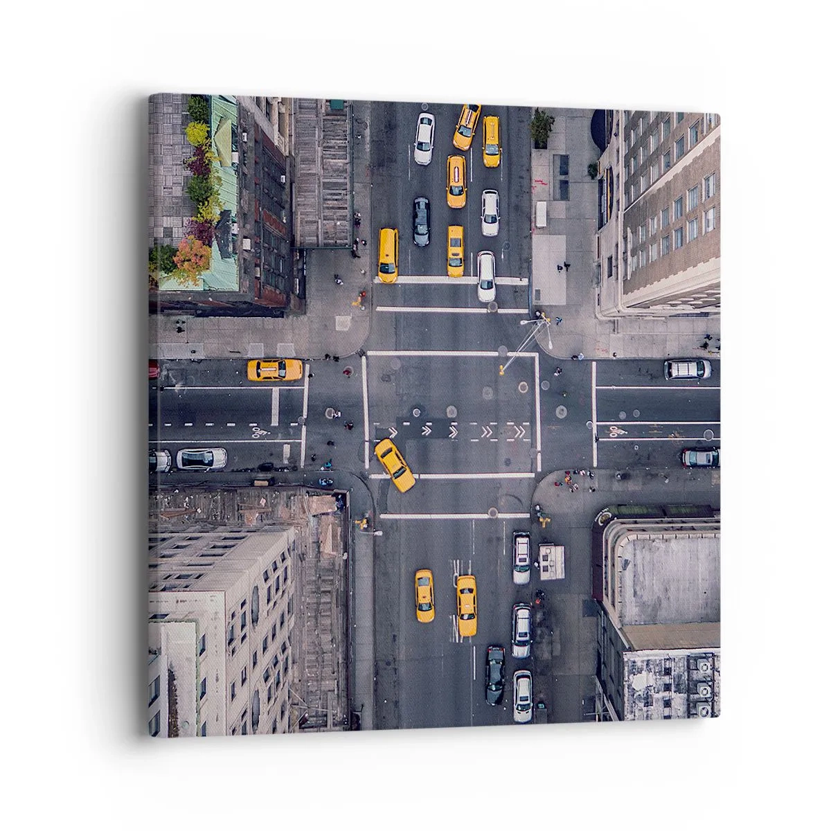 Vászonkép - Egyszerű választás - 40x40 cm