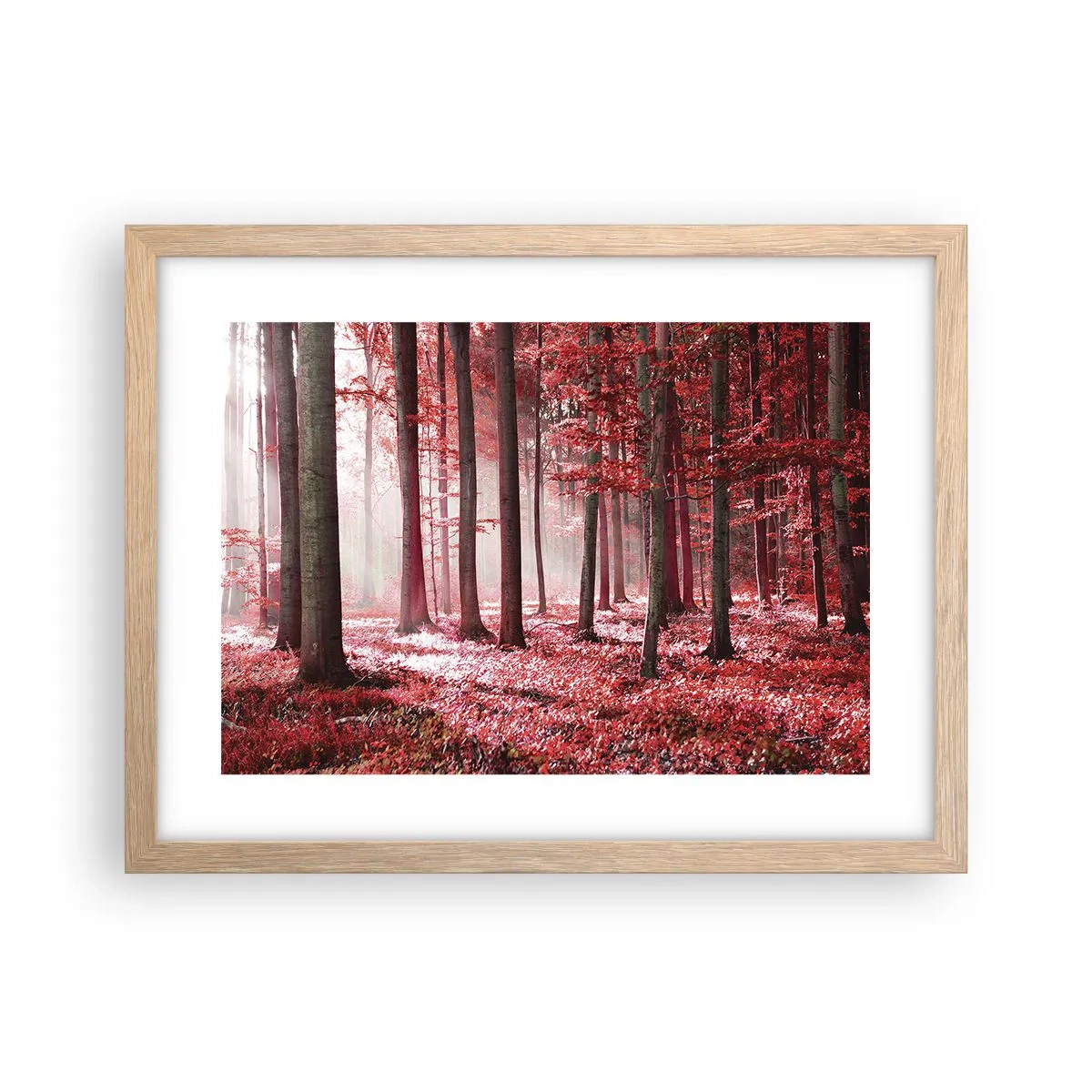 Poszter világos tölgy keretben - A piros különösen szép - 40x30 cm