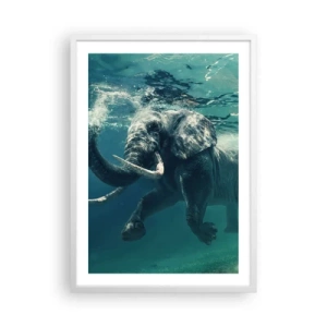 Poszter fekete keretben - Mindenki szeret úszni - 50x70 cm