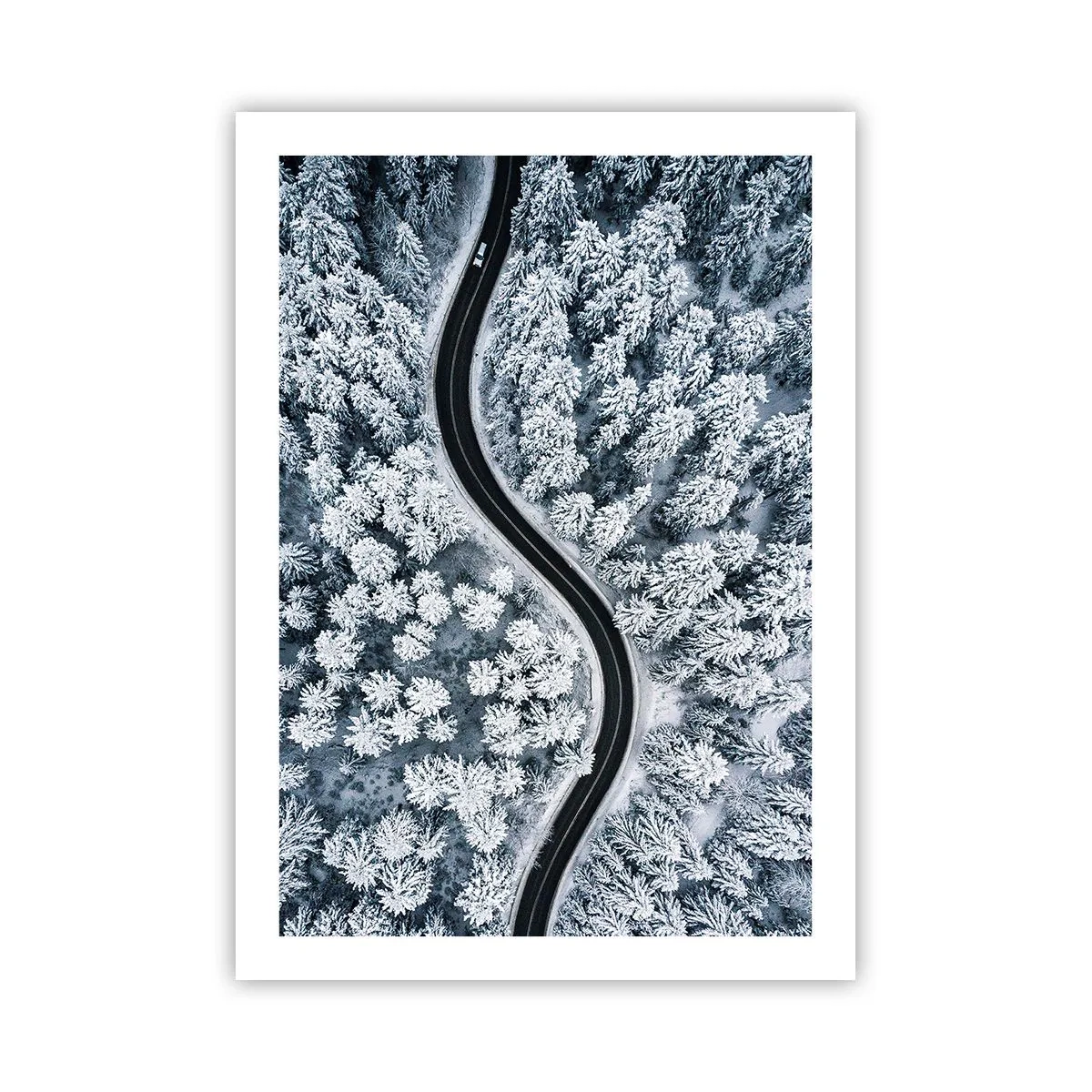 Poszter - A téli erdőn - 50x70 cm