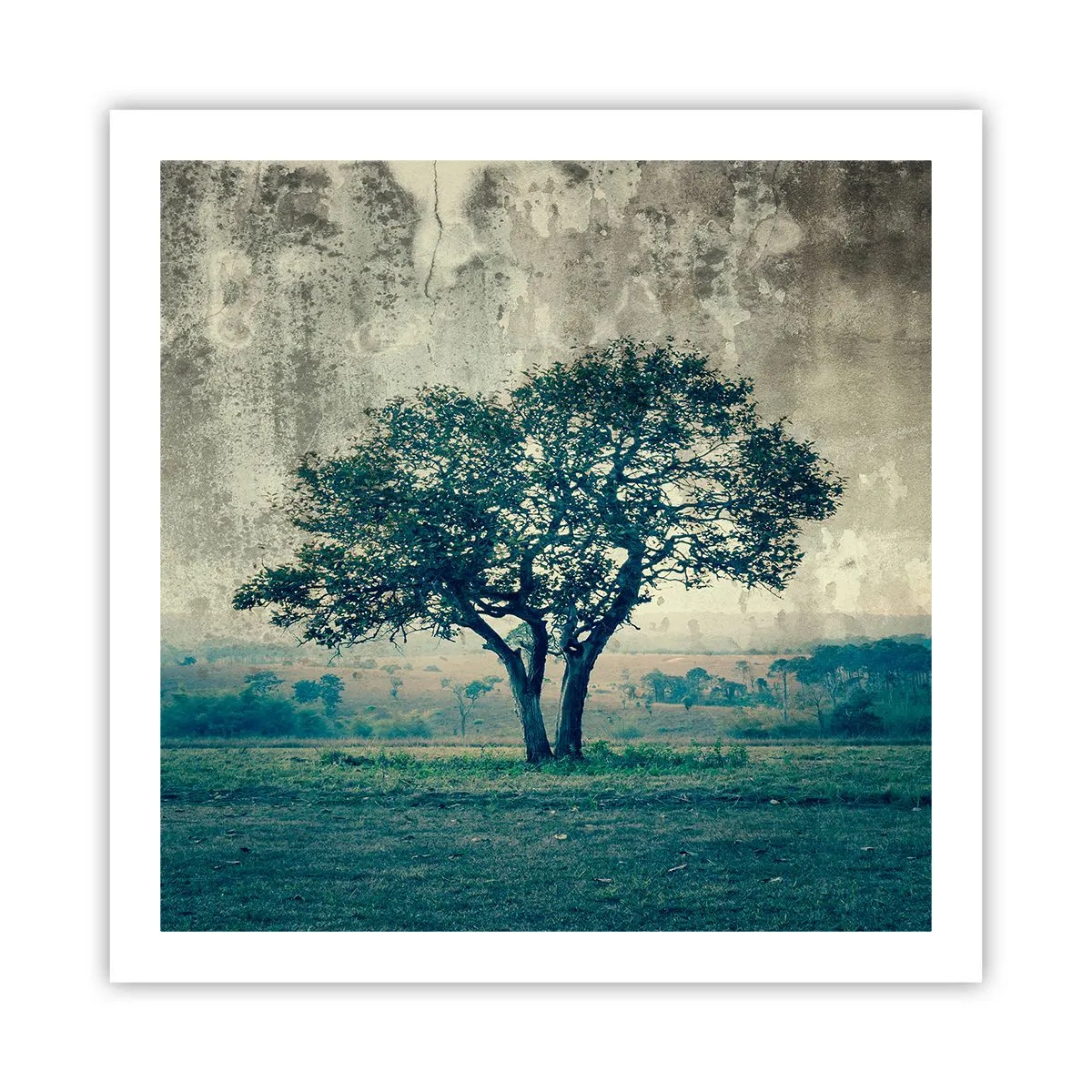 Poszter - Almafa a kék mezőn? - 60x60 cm
