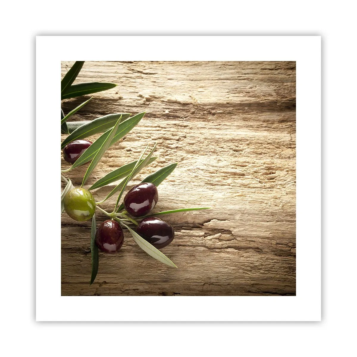 Poszter - Egyenesen a természetből - 40x40 cm