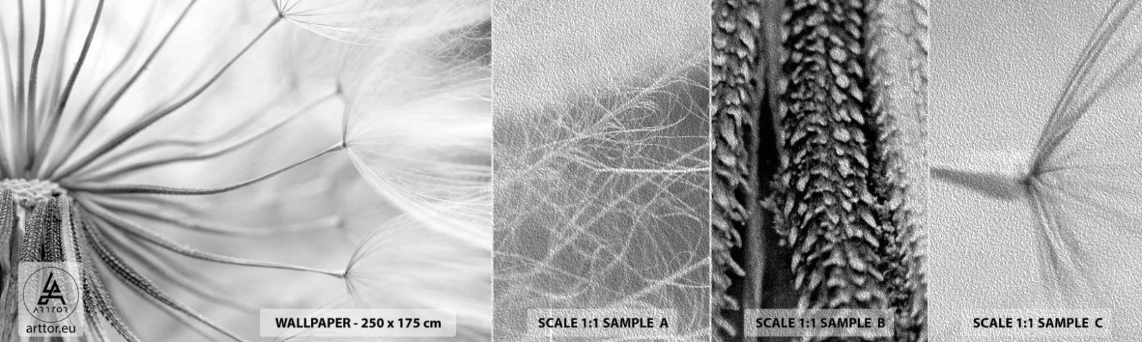 Fotótapéta Minta Premium Sand - Pitypang, papírsárkány - Minimalizmus, Törékeny, Virág - 100x30 cm
