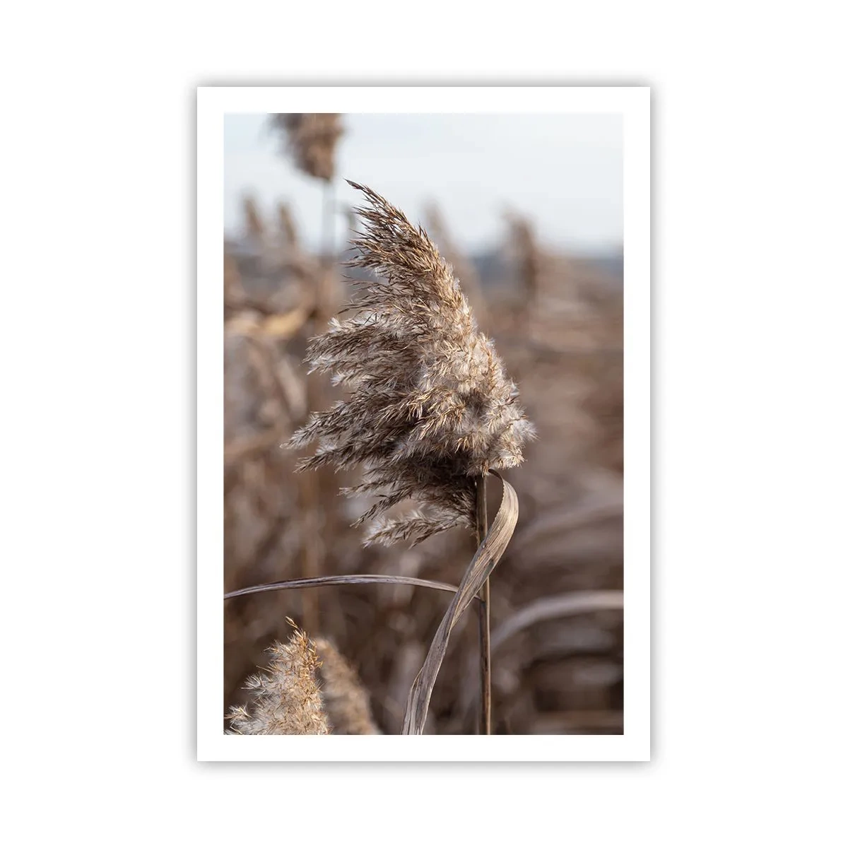 Poszter - Ideje elrepülni a széllel - 61x91 cm