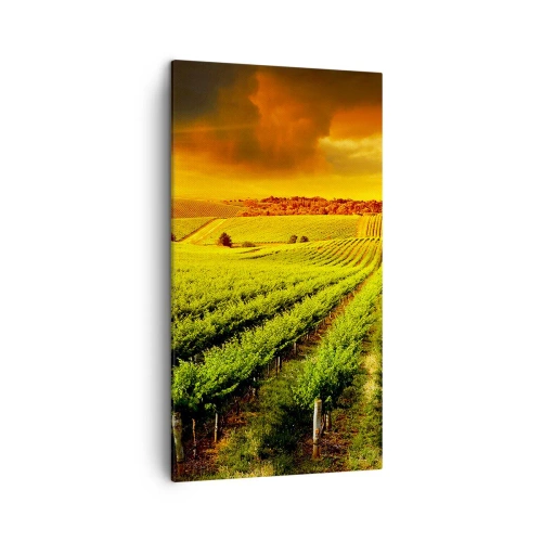 Vászonkép - Ausztrál nap alatt - 45x80 cm