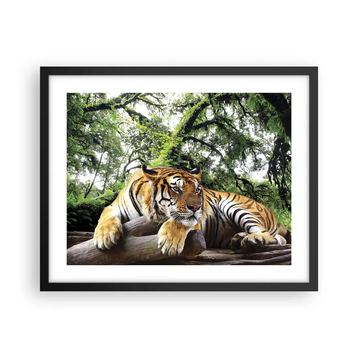 Poszter fehér keretben - Tisztelettel - 50x40 cm