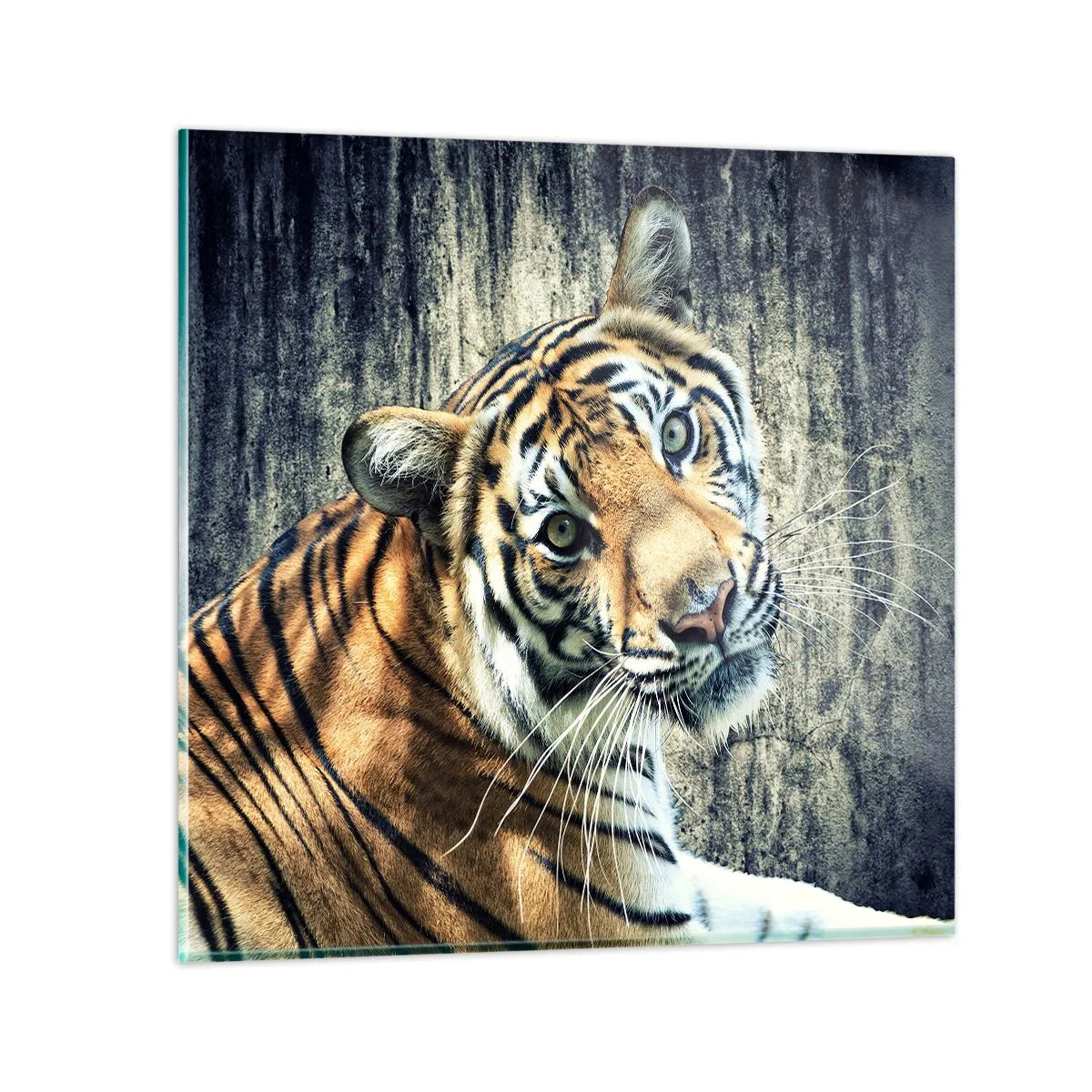 Üveg kép - Portré a fénysugárban - 70x70 cm