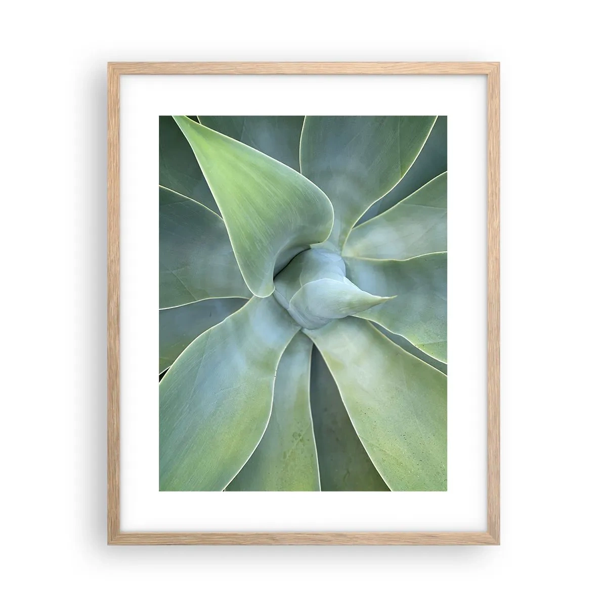Poszter világos tölgy keretben - A zöld születése - 40x50 cm