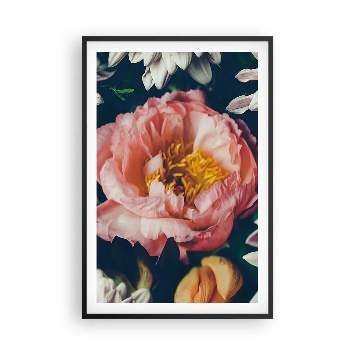 Poszter fehér keretben - Barokk pompával - 61x91 cm