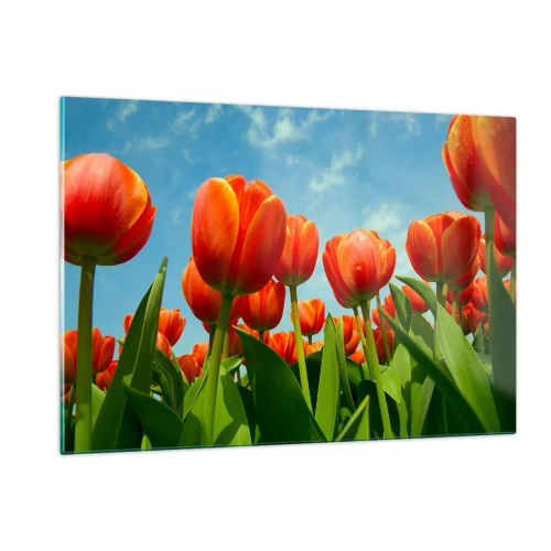 Üveg kép - A kék égen kívül semmire sincs szükségük az életükben - 120x80 cm