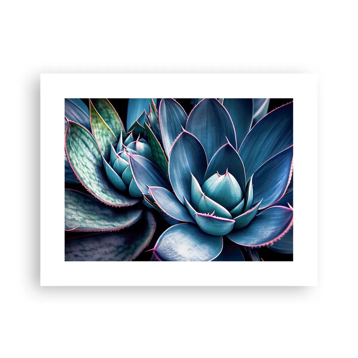 Poszter - Életerő - 40x30 cm