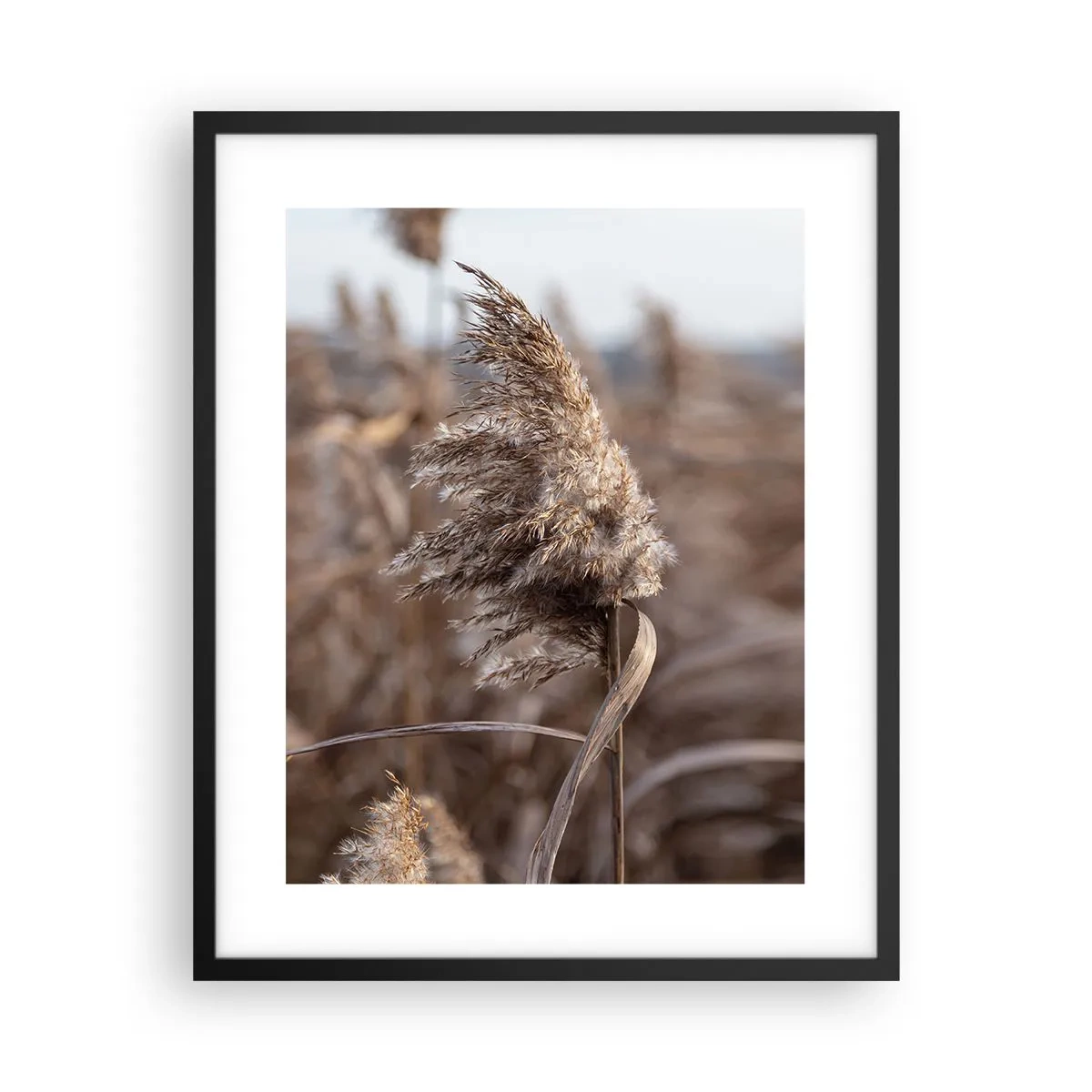 Poszter fehér keretben - Ideje elrepülni a széllel - 40x50 cm